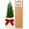 Arbolito Navidad Elegant Gift Box