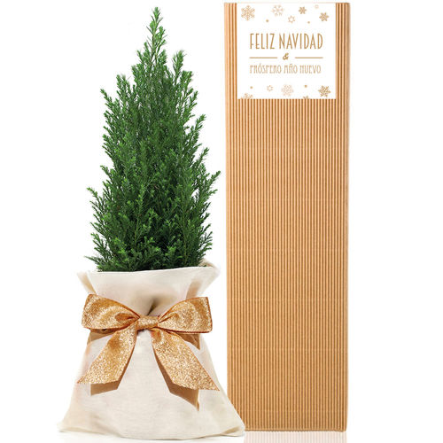 Arbolito Navidad Gloss Gift Box