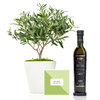 Set regalo Olearum con olivo y aceite
