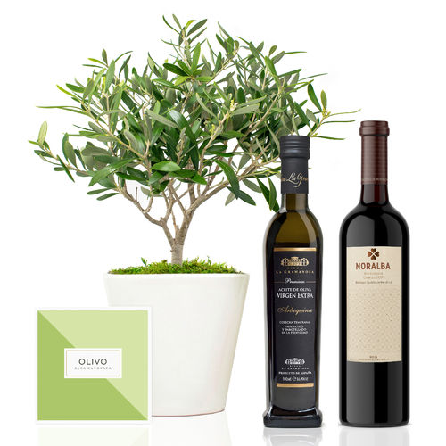 Set Gourmet Elegant con olivo, aceite y vino