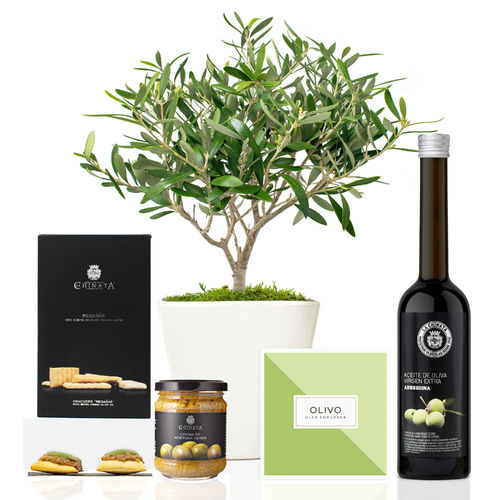 Lote Gourmet Delicias con olivo