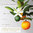 Set Gourmet Little Orange con naranjo