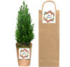 Arbolito Navidad Eco con bolsa