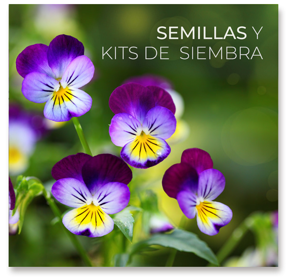 Regalos_promocionales_ecologicos_semillas_y_siembra_4