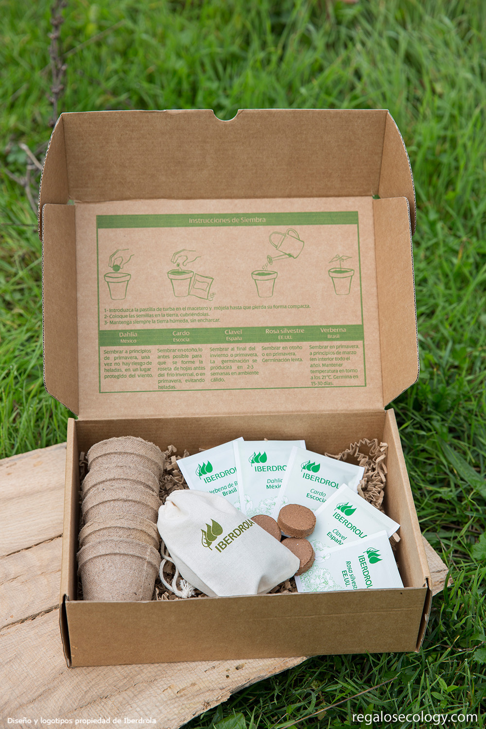 regalo sostenible para los amantes de las plantas. Kit de cultivo de bonsái incluye eBook gratis: juego de macetas de coco semillas y tierra 