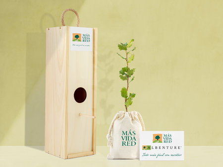 ARBOLITOS PARA REGALO: Pequeños árboles para regalar, ideal para regalos promocionales y regalos de empresa ecológicos.\\n\\n19/02/2023 22:08