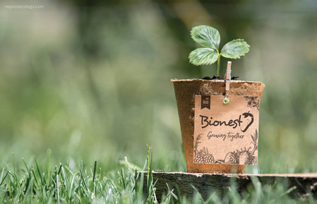 KIT DE CULTIVO PROMOCIONAL: Un kit de cultivo con semillas ideal para regalos promocionales ecológicos.\\n\\n24/01/2020 01:49