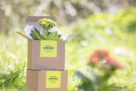 GREEN MARKETING:PLANTAS Plantas personalizadas para campañas promocionales ecológicas. Green Marketing.\\n\\n28/06/2019 22:05