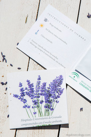 TARJETA CON SEMILLAS: Díptico tarjeta personalizada con semillas para regalos promocionales.\\n\\n29/06/2019 02:22