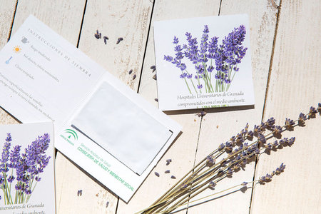 TARJETA CON SEMILLAS: Díptico tarjeta personalizada con semillas para regalos promocionales.\\n\\n29/06/2019 02:22